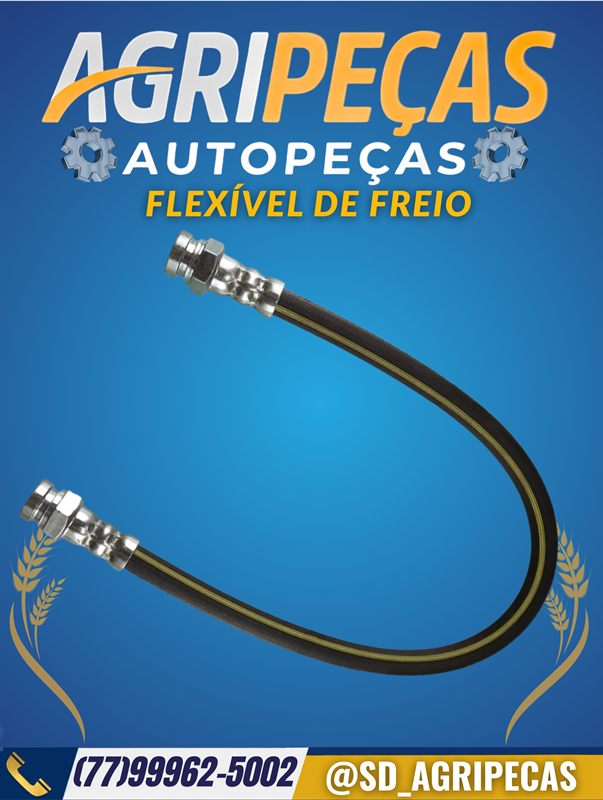 FLEXÍVEL DE FREIO